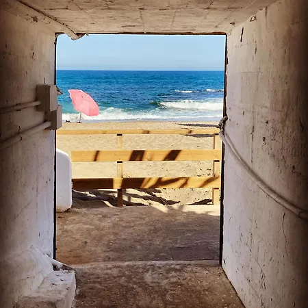 Casa Perro Andaluz *