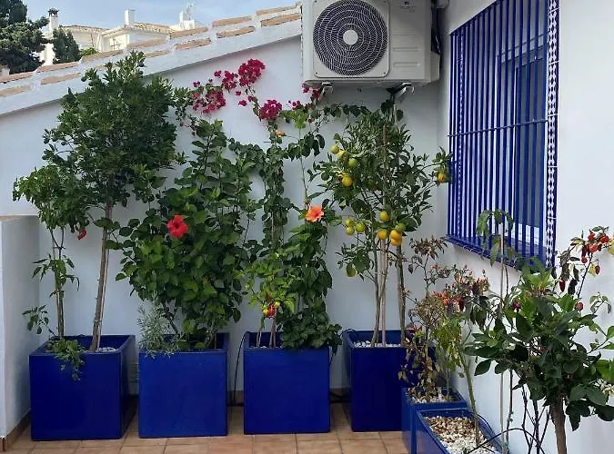 Casa Perro Andaluz * Fuengirola
