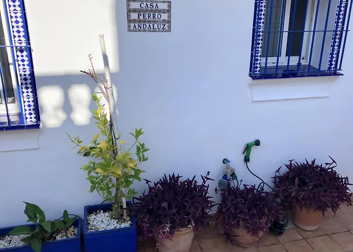 Сasa de vacaciones Casa Perro Andaluz