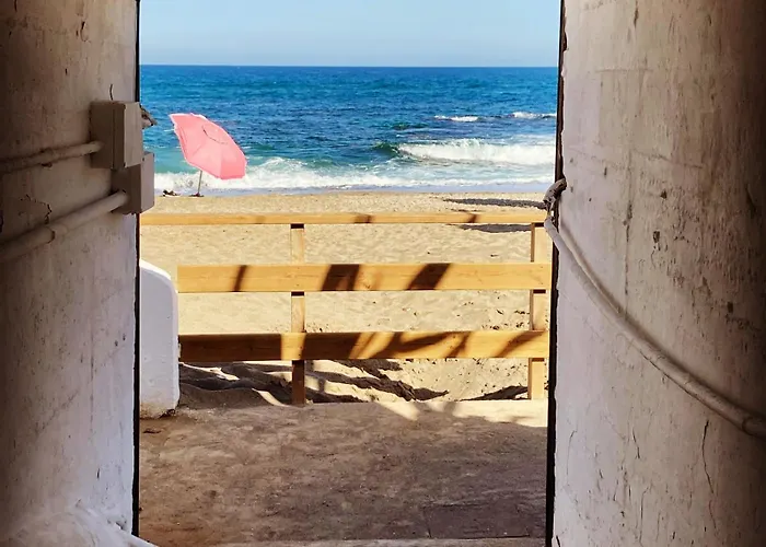 Casa Perro Andaluz *