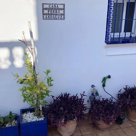 Hébergement de vacances Casa Perro Andaluz